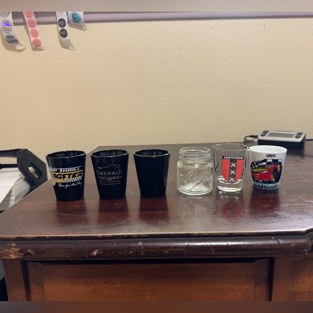 Set of 13 Mixed Souvenir Shot Glasses